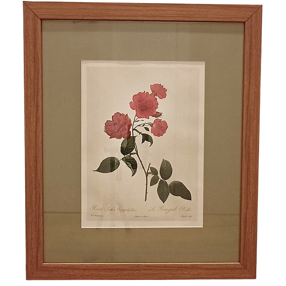 Quadro Rosas 17