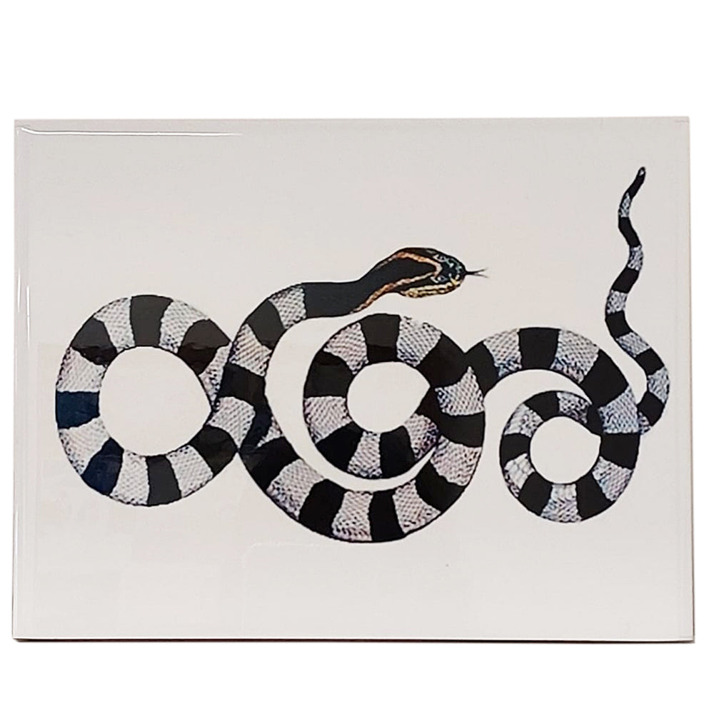 Azulejo Decorativo Cobra