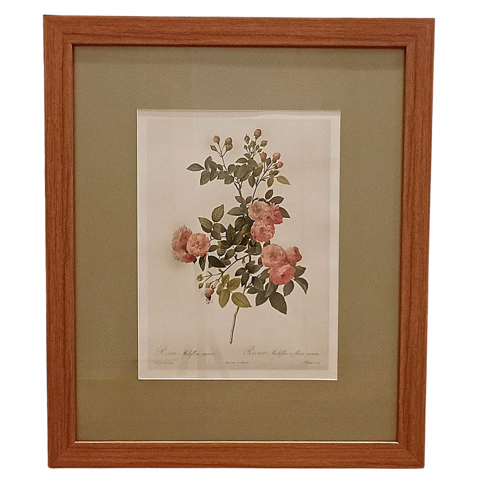 Quadro Rosas 18