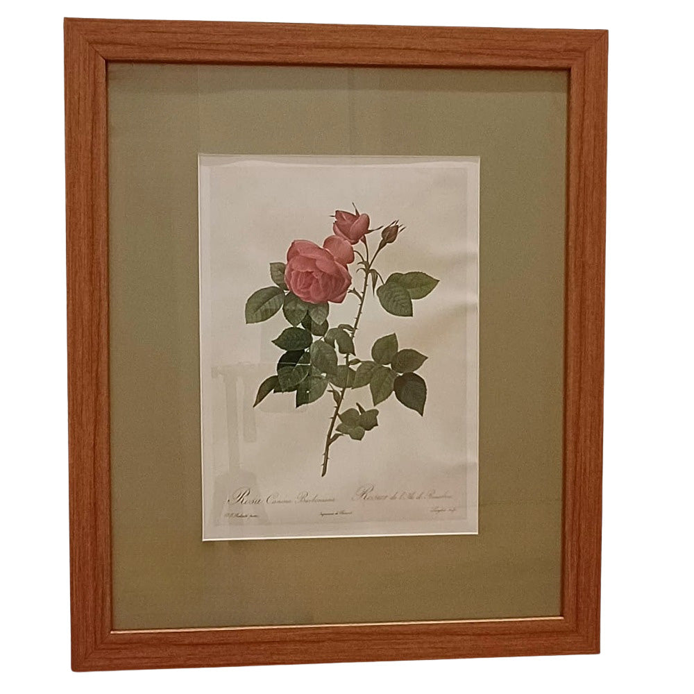 Quadro Rosas 20