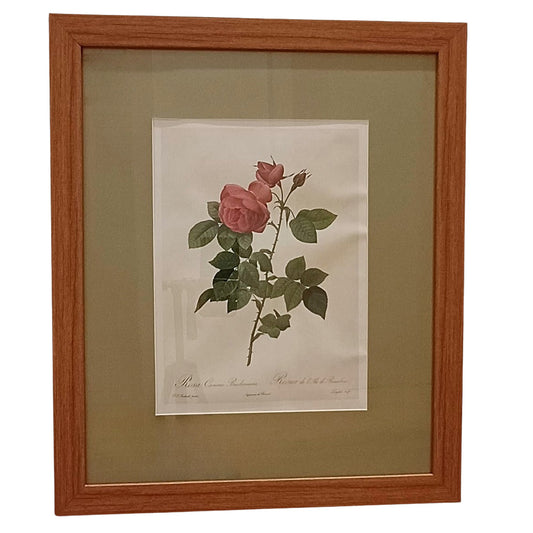 Quadro Rosas 20