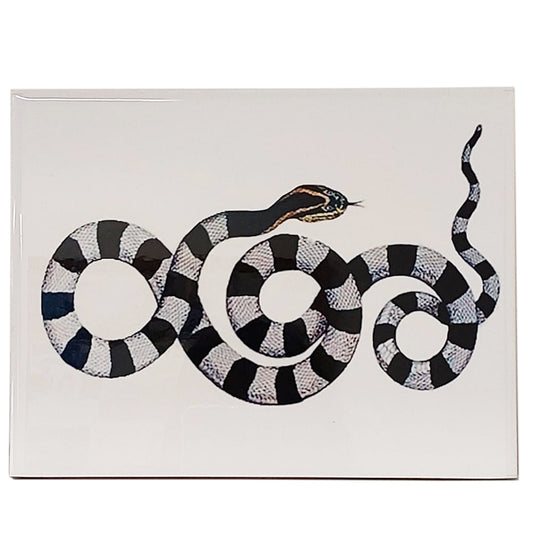 Azulejo Decorativo  Cobra