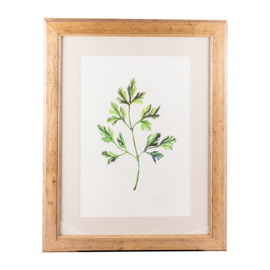 Aquarela Botanica 4