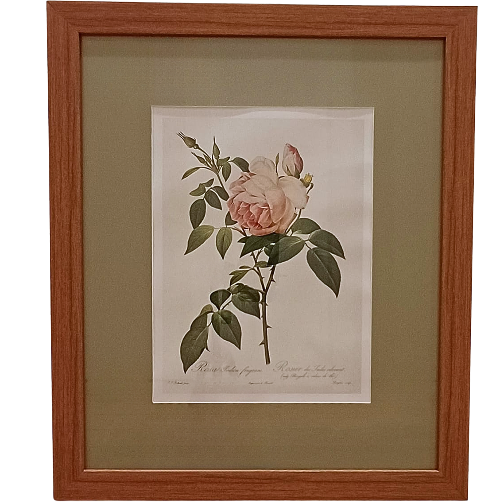 Quadro Rosas 22