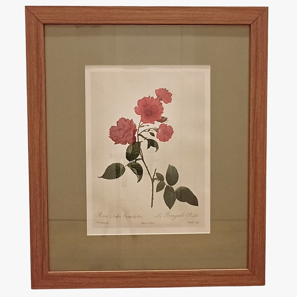 Quadro Rosas 17