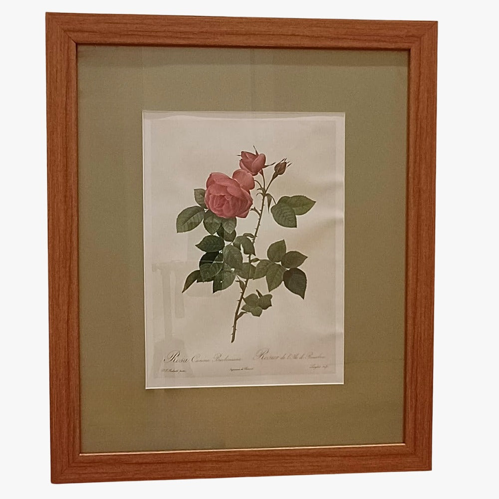 Quadro Rosas 20